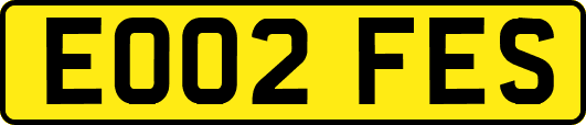EO02FES
