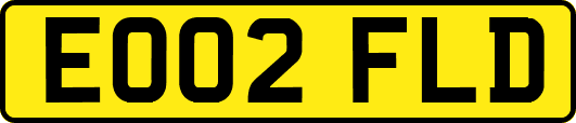 EO02FLD