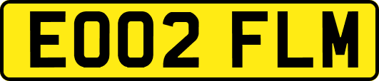 EO02FLM
