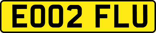 EO02FLU
