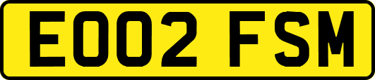 EO02FSM