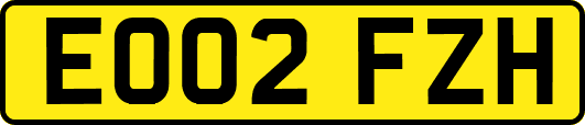 EO02FZH