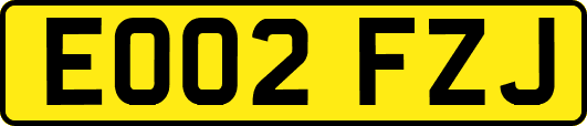 EO02FZJ