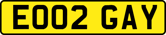 EO02GAY