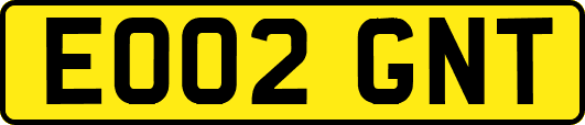 EO02GNT