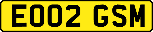 EO02GSM