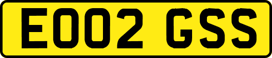 EO02GSS