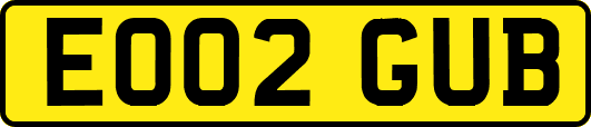 EO02GUB