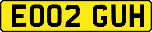 EO02GUH