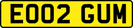 EO02GUM