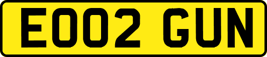 EO02GUN
