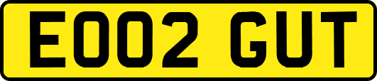 EO02GUT