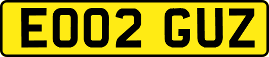 EO02GUZ