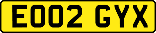 EO02GYX