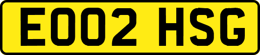 EO02HSG