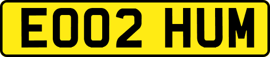 EO02HUM