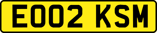 EO02KSM