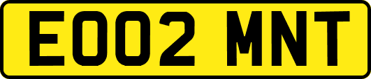 EO02MNT