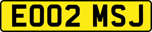 EO02MSJ