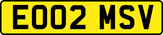 EO02MSV