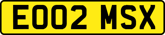 EO02MSX