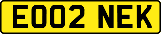 EO02NEK