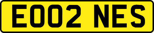 EO02NES