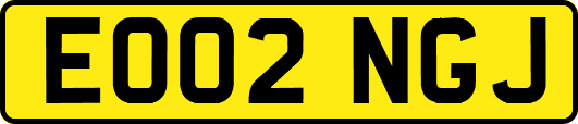 EO02NGJ