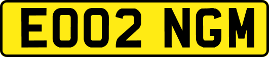 EO02NGM