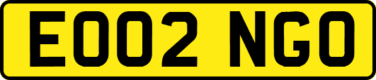 EO02NGO