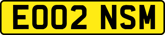 EO02NSM