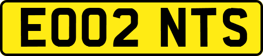 EO02NTS