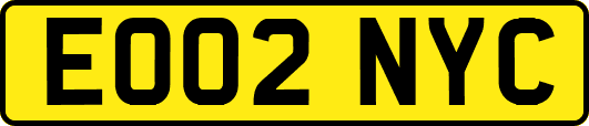 EO02NYC