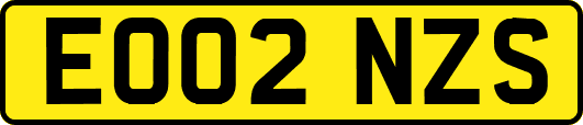 EO02NZS
