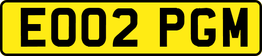 EO02PGM