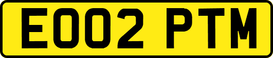 EO02PTM