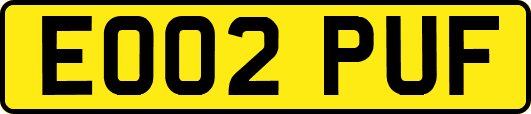 EO02PUF
