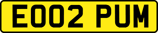 EO02PUM