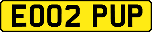 EO02PUP