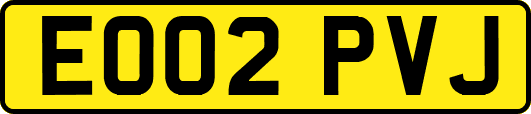 EO02PVJ
