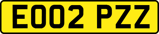 EO02PZZ