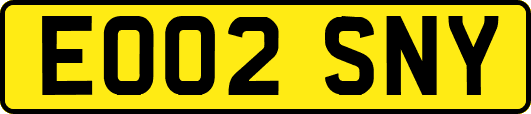 EO02SNY