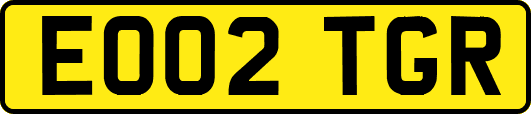 EO02TGR