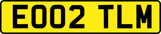 EO02TLM