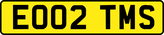 EO02TMS
