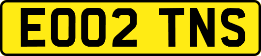 EO02TNS