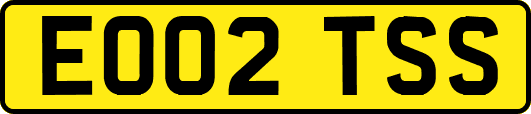 EO02TSS
