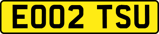 EO02TSU