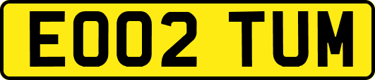 EO02TUM