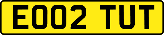 EO02TUT
